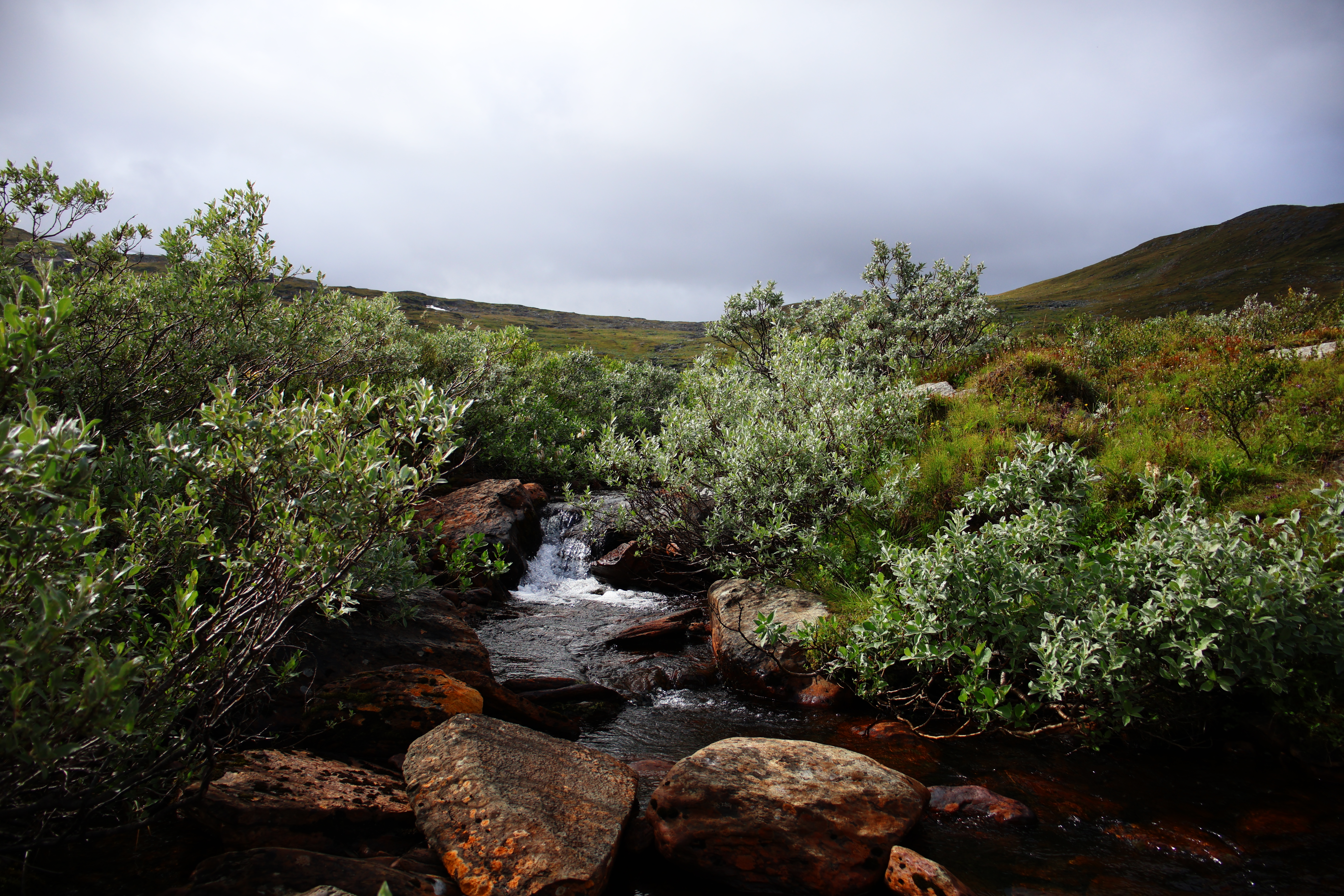 Alesjaure Mountain Stream